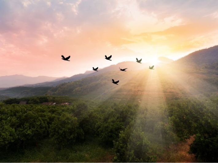 ألحلــم سيــد ألاخــلاق